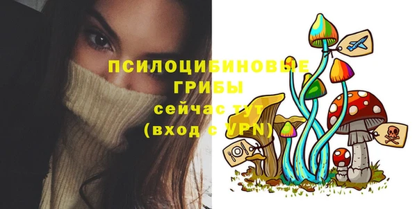 эйфоретик Володарск
